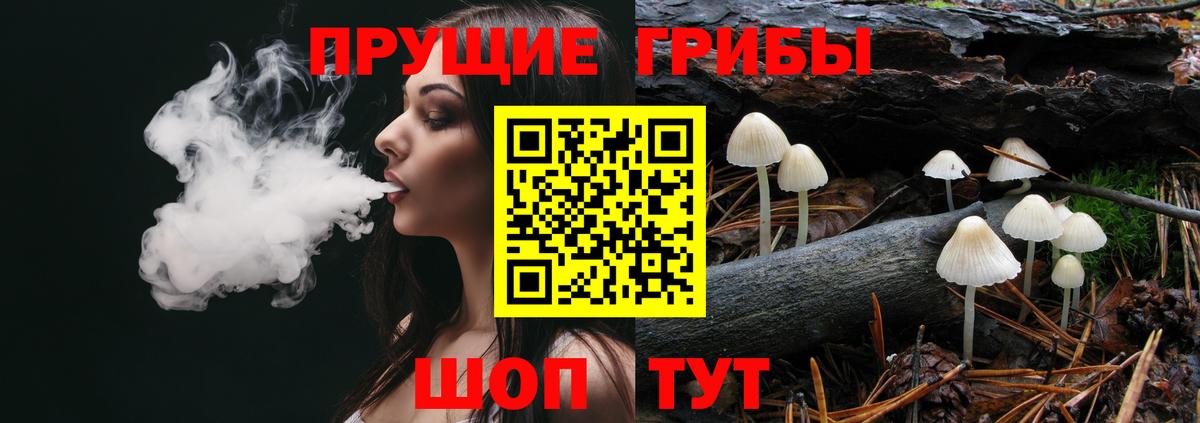 Нижнеудинск  Галлюциногенные грибы GOLDEN TEACHER  Псилоцибиновые грибы Psilocybine cubensis  Вход с VPN 
