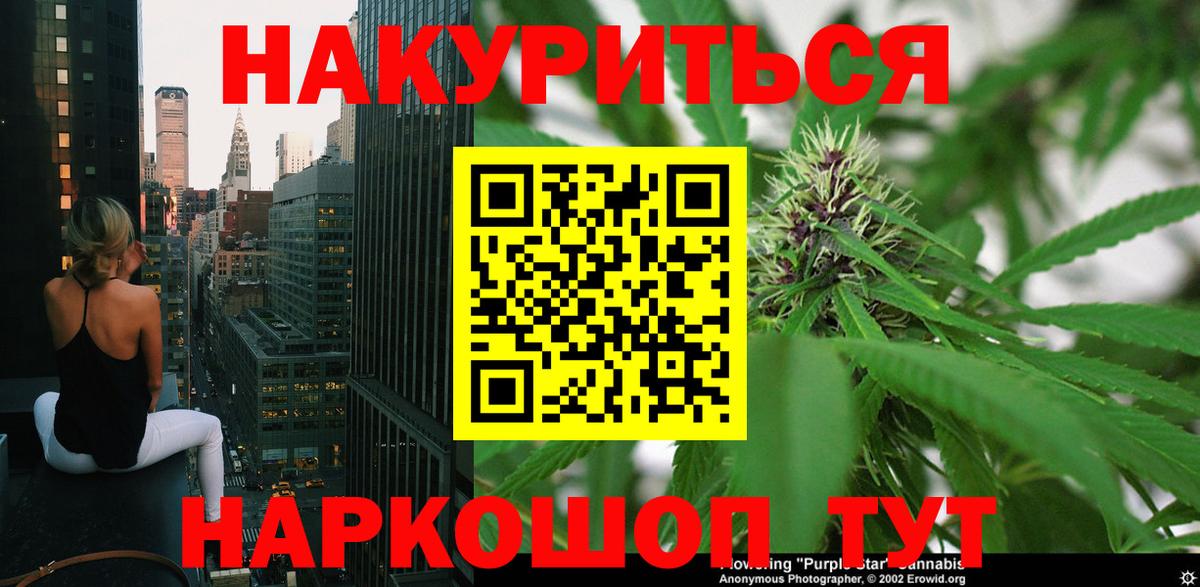 Шишки марихуана марихуана Нижнеудинск